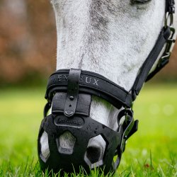 LeMieux SS26 Noma Mundkurv Sort