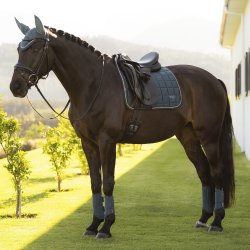 LeMieux SS26 Loire Square Underlag Jungle