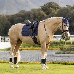 LeMieux SS26 Air-Tek Mesh Dressage Underlag Shadow