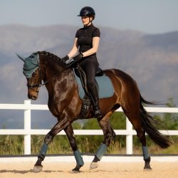 LeMieux SS26 Essence Underlag Jungle