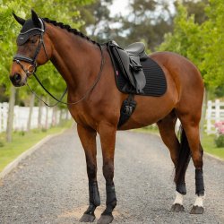 LeMieux SS26 Air-Tek Mesh Dressage Underlag Sort