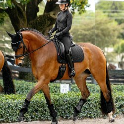 LeMieux Brilliance Square Dressur Underlag Sort