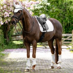 LeMieux Brilliance Square Dressur Underlag Hvid