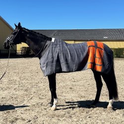 EQuest Dralon T�ppe Gr�