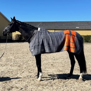 EQuest Dralon T�ppe Gr�