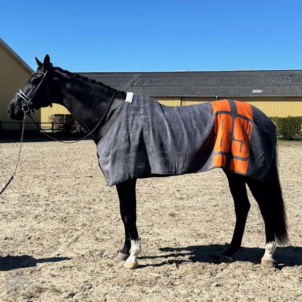 EQuest Dralon T�ppe Gr�