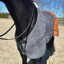 EQuest Dralon T�ppe Gr�