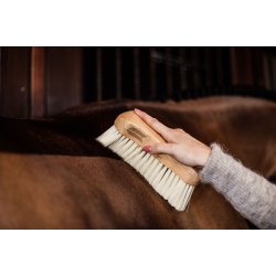 Kentucky Body Brush Middle Soft