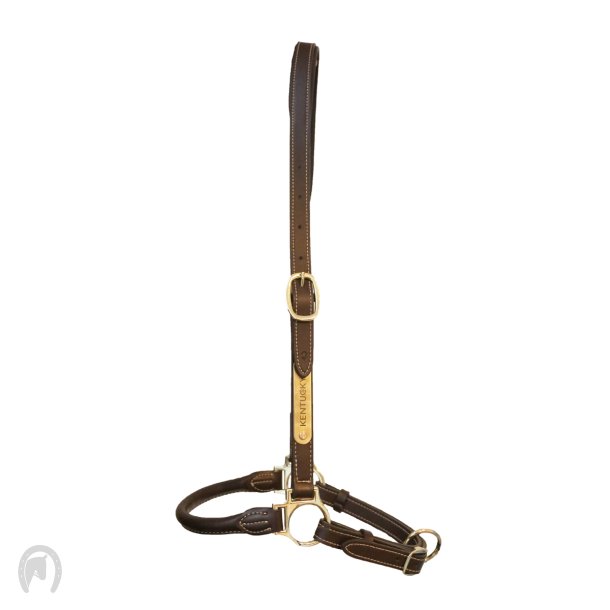Kentucky Grooming Grime Brun