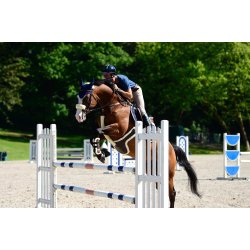 Kentucky Pladegjord m/lam Brun