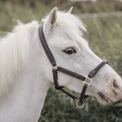 Kentucky Imiteret Ldergrime m/aftagelig Fur Brun/Natur