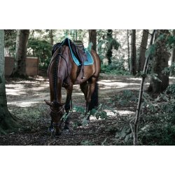 Kentucky Velvet Dressage Emerald