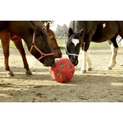Kerbl HeuBoy Feed &amp; Play ball Bl