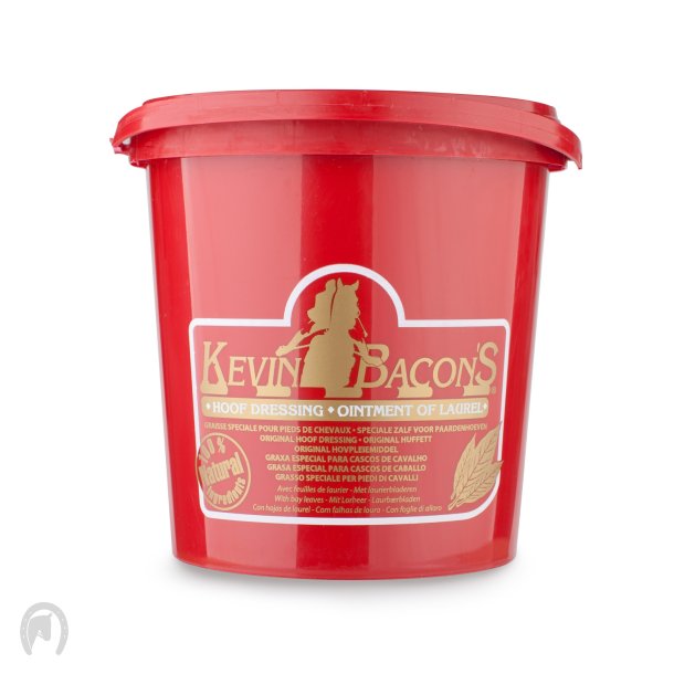 Kevin Bacon Hov Dressing 1L