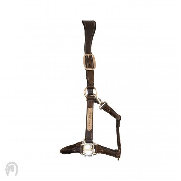 Kentucky Anatomisk Kunstlder Grime Brun