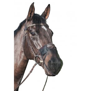 Lemieux Mulebeskytter Twin Pack Sort