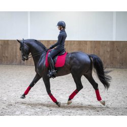 Lemieux ProSport Suede Dressage Square Underlag - Chilli