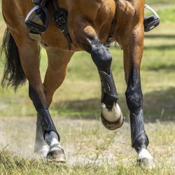 LeMieux Cross Country Mimsafe Gamacher Sort - Bagben