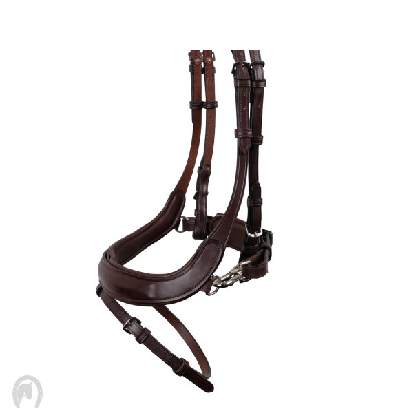 Montar Nsebnd Bretagne Brun