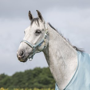 Bucas Dublin Grime Turquoise