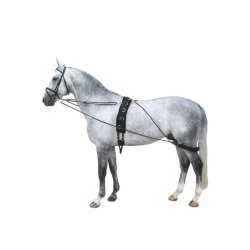 BR Premiere Pessoa Longesystem