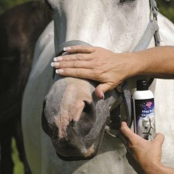 Professionals Choice Mug Balm Face Shield 230ml