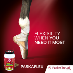 Paskacheval Paskaflex 900g