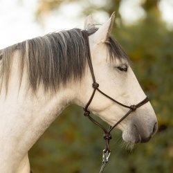 QHP L�der Rebgrime m. Nylonkerne Brun