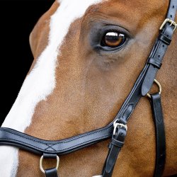 Micklem 2 Competition Trense Sort