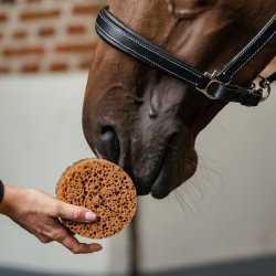 Borstiq Farm Grooming Svamp Rund 