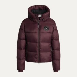 Tommy Hilfiger AW26/27 Glendale Puffer Jakke Burgundy
