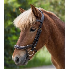 Waldhausen Iceland Trense Anatomisk Brun