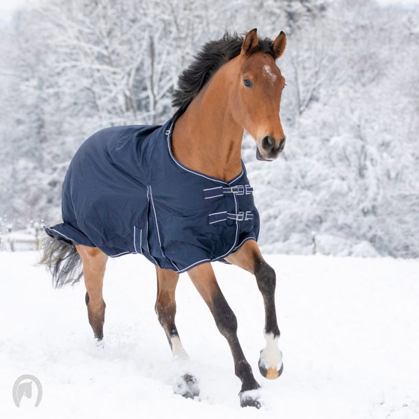 Waldhausen Economics Regnd�kken Navy