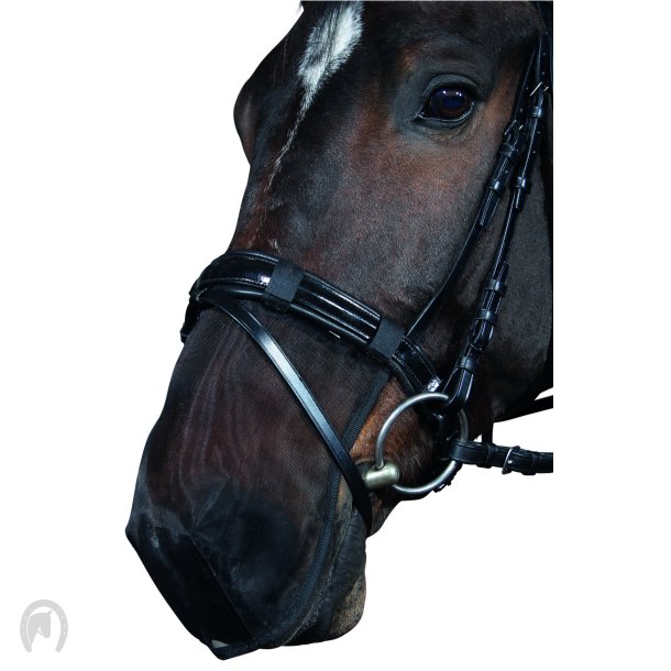 Horse Guard Mulebeskytter sort X-Full