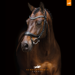 Schockem&ouml;hle Equitus Beta trense Sort