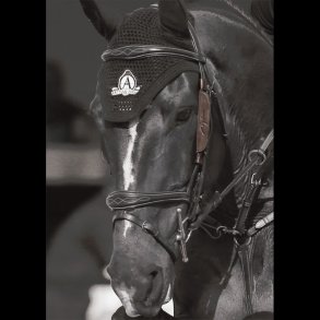 Dyon skyklapper Sort